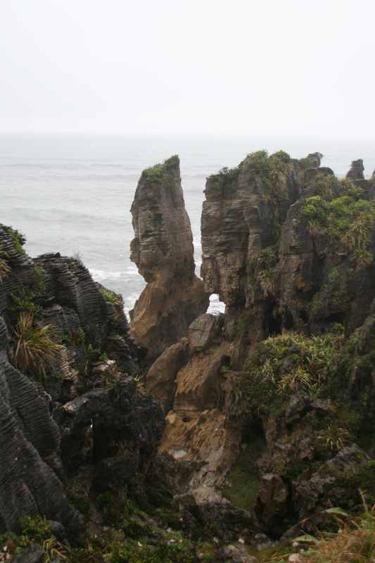 Nieuw-Zeeland 2011 - 1310